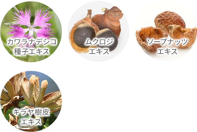 美容保湿成分画像