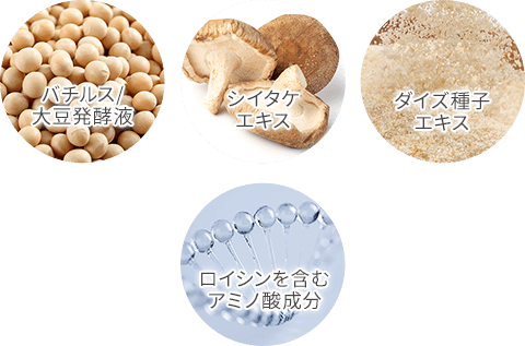 プロテイン処方でまなざしケア