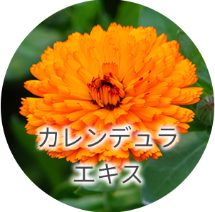 カレンデュラエキスimg