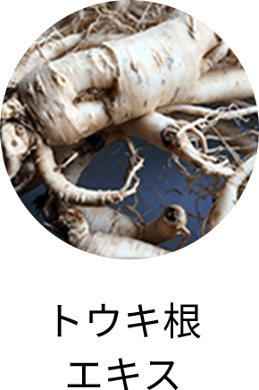 トウキ根エキス
