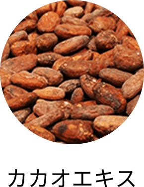 カカオエキス