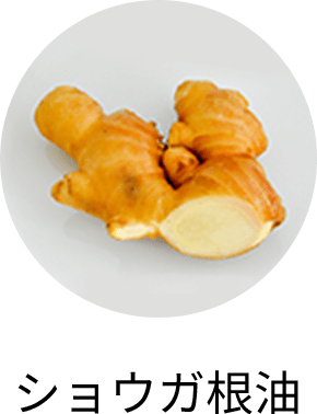 ショウガ根油