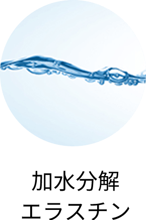 加水分解エラスチン