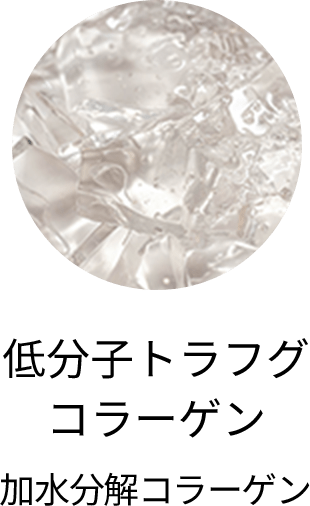 低分子トラフグ コラーゲン 加水分解コラーゲン