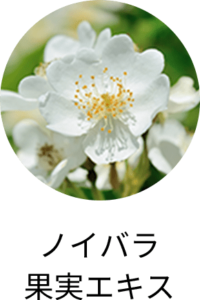 ノイバラ果実エキス