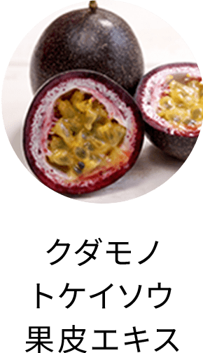 クダモノトケイソウ果皮エキス