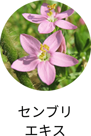 センブリエキス