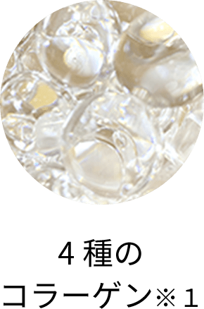 4種のコラーゲン※１