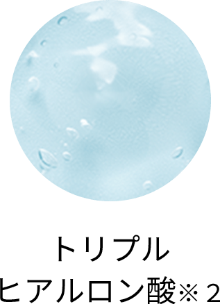 トリプルヒアルロン酸※２