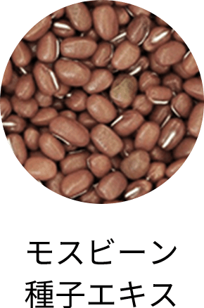 モスビーン種子エキス
